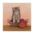 Trademark Fine Art Janet Pidoux 'Kitten And Wool Basket' Canvas Art, 14x14 ALI36501-C1414GG